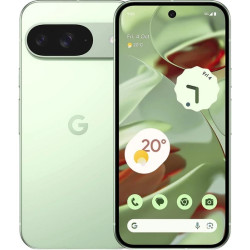 Смартфон Google Pixel 9 12GB/256GB (винтергрин)