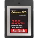 Карта памяти SanDisk Extreme Pro CFexpress Type B 256Gb (SDCFE-256G-GN4NN)